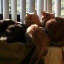 Stephanie Lilly - @Slilly70 - Twitter