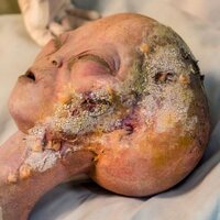 Alien Autopsy (@thealienautopsy) 's Twitter Profile