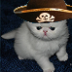 captain_ahar's profile picture. Can walk and chew gum, just not simultaneously. (banner Chelsea Jinxu Du, https://t.co/iFHYnTvMsr)