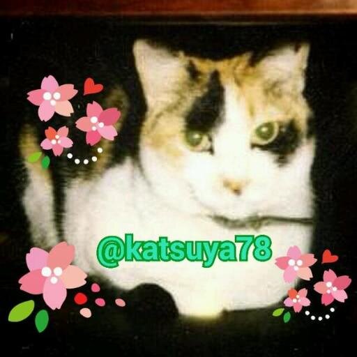 katsuya78's profile picture. ※当アカウントが関わる全ての内容は、個人の主観における意見・見解・主張であり、所属する団体等には一切関係ございません。
