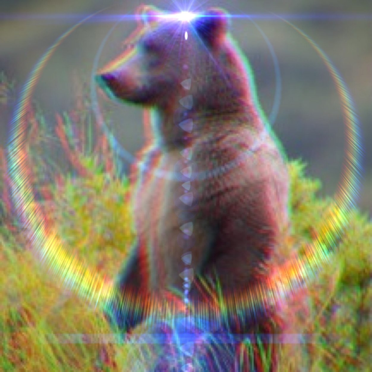 RA 3h 47m 29s | Dec +24° 6′ 19″