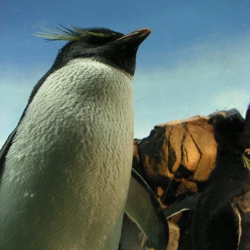 bpasu's profile picture. 