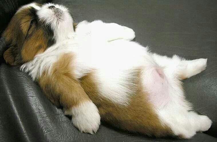 nagguyaa's profile picture. 내가 사는 처지가 어려워도, 돈을 많이 갖고있어 부유한 삶을 살더라도, 세상은 똑바로 쳐다보고 살자. 부끄럽게 행동하지말자.