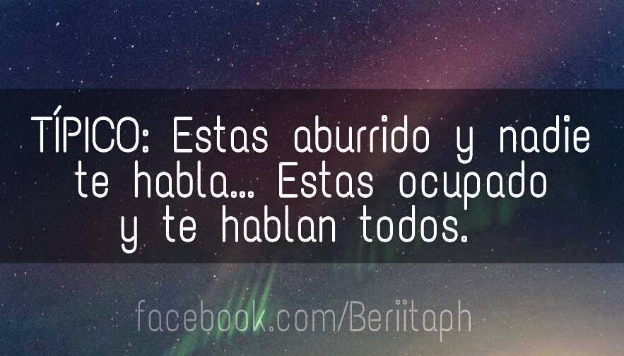 robertdbz's profile picture. 