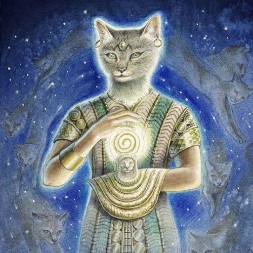 #Anonymous #Anonymiss #Cats #AnimalRight