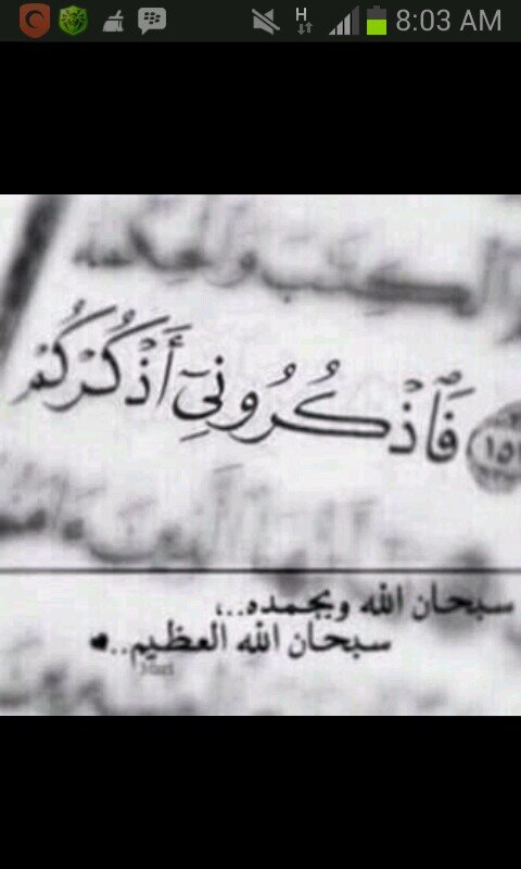 حسبنا الله سيؤتينا الله من فضله انا الي الله راغبون