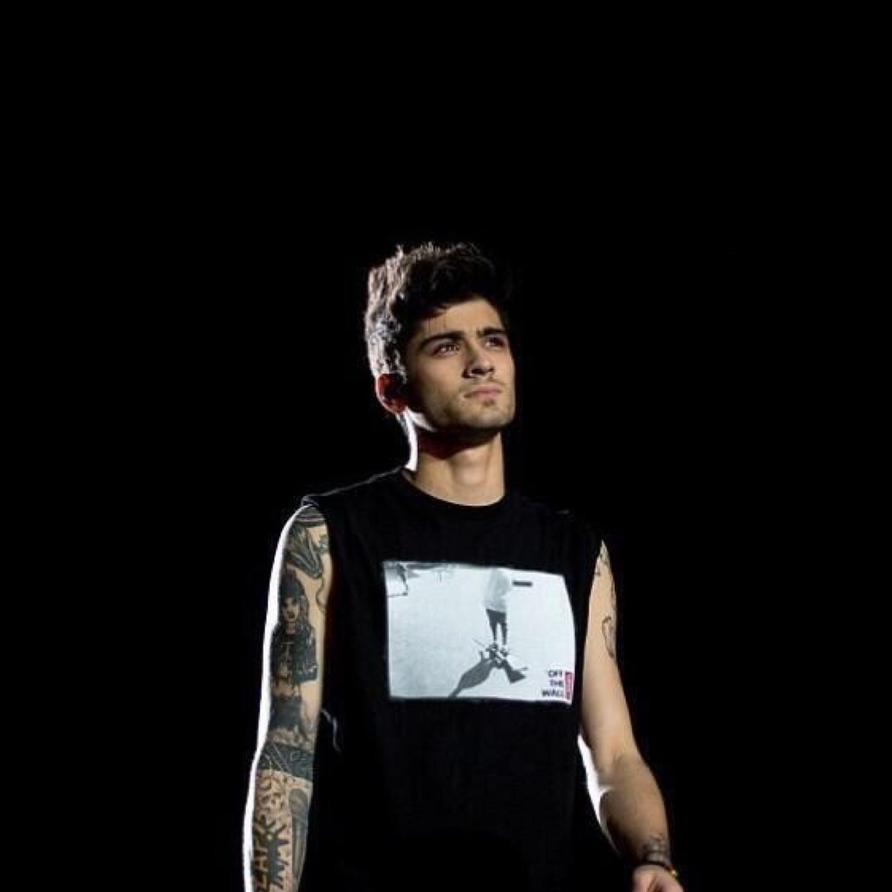 I really want zayn