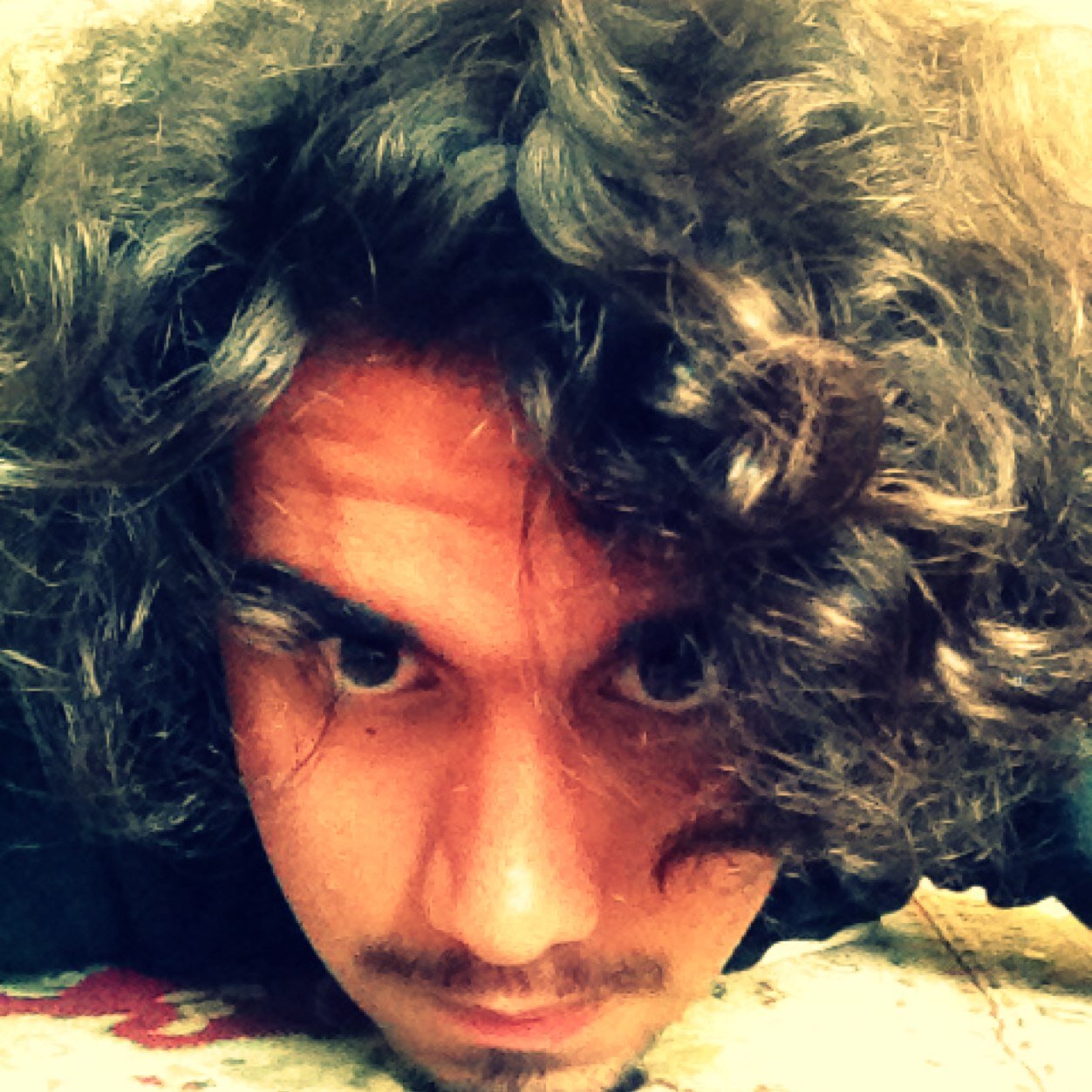 sk8_soul's profile picture. 