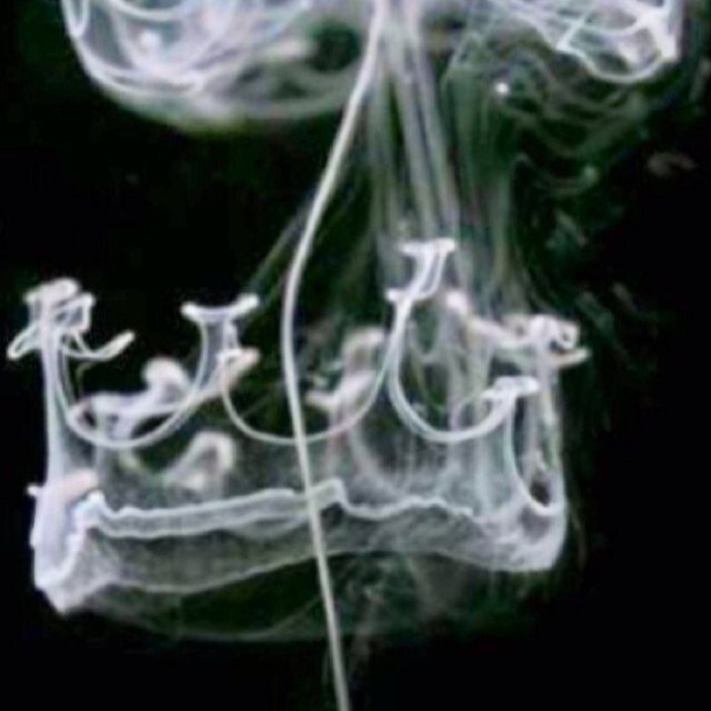 vanilla_smooth_'s profile picture. 