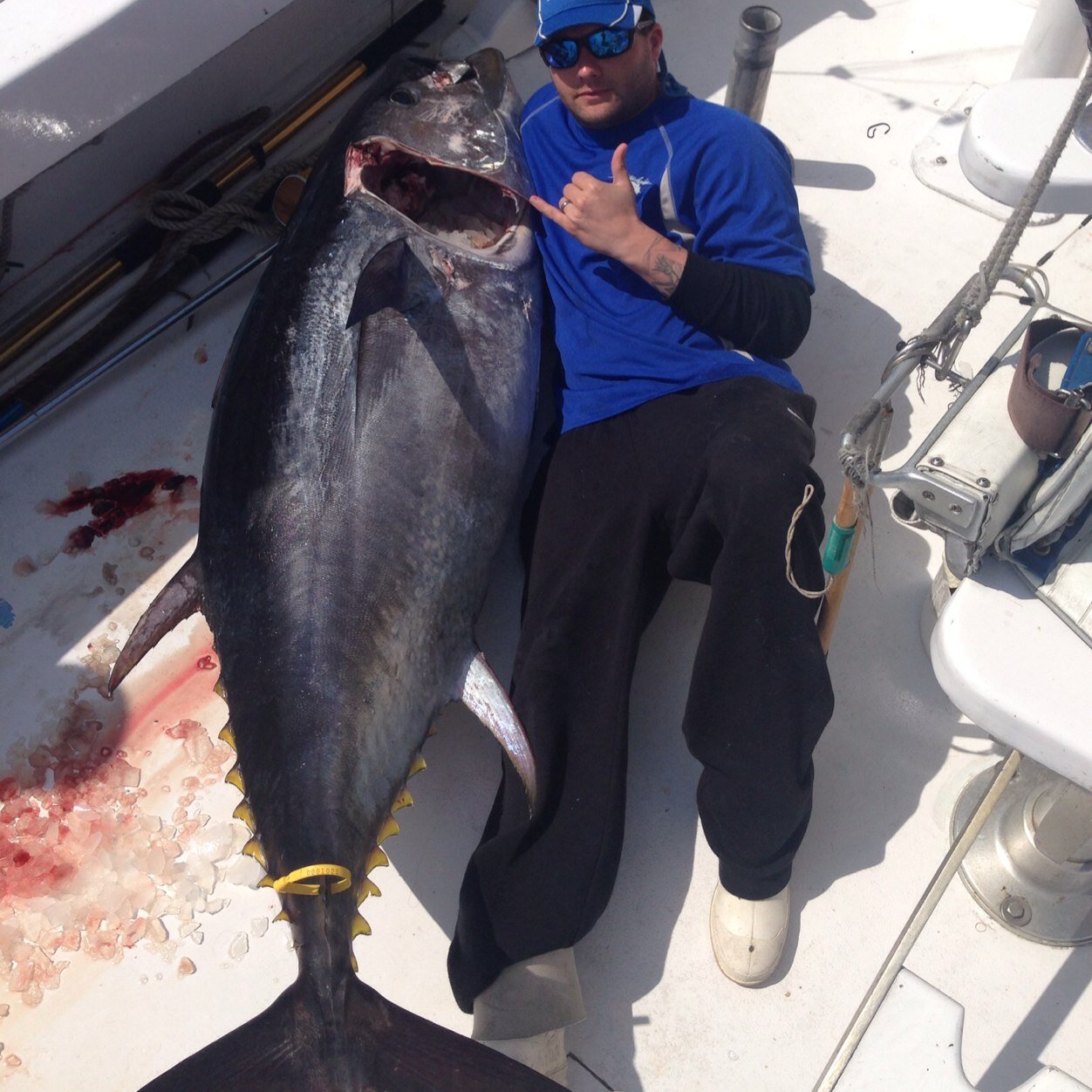 DietzBryan's profile picture. 