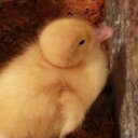 Jana Dean - @janaldean579 - Twitter