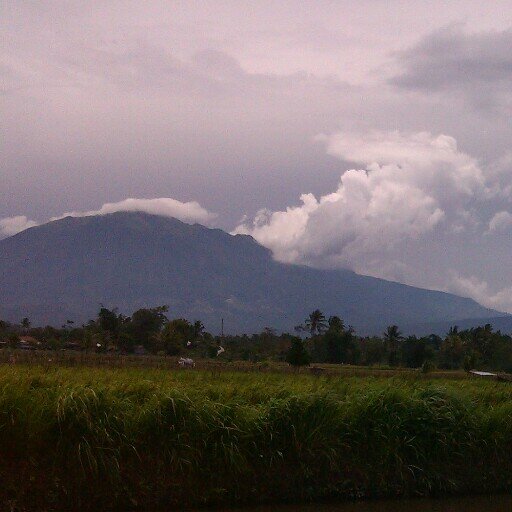 Mari berbagi cerita tentang Merbabu