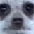 DoserJC's profile image