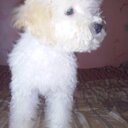 edith belen spaciuk - @edithspaciuk59 - Twitter