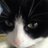 Deaks_uk's profile image