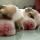 Lê Văn Rin - @LVnRin - Twitter