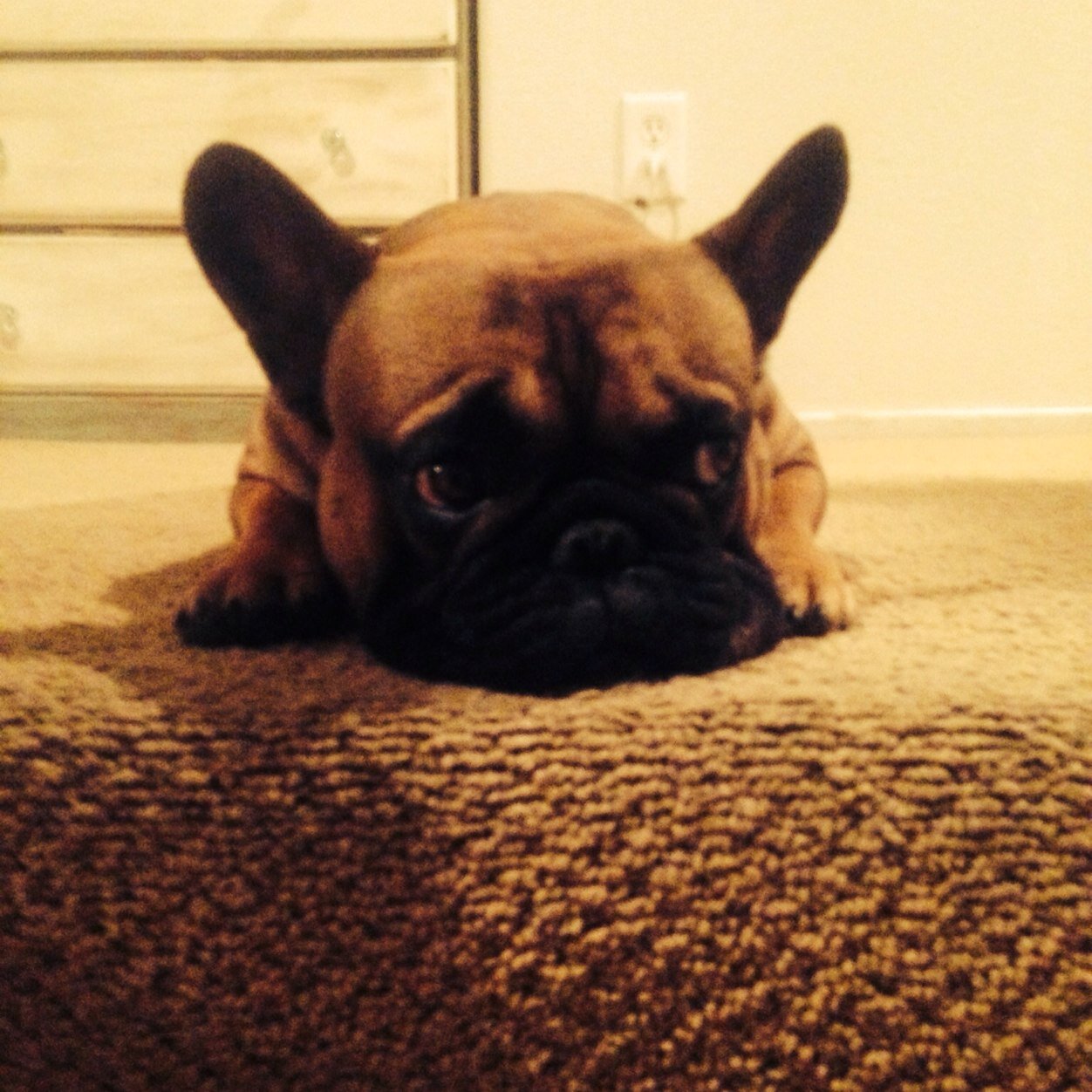 shanerly6's profile picture. 