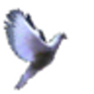 akaFreebird's profile image