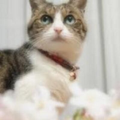 佐藤のプロフィール写真