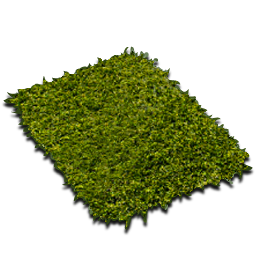 Vagin_Frantz's profile picture. Я не верю в слова... мне нужны действия.