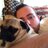 alfre_dito's profile image