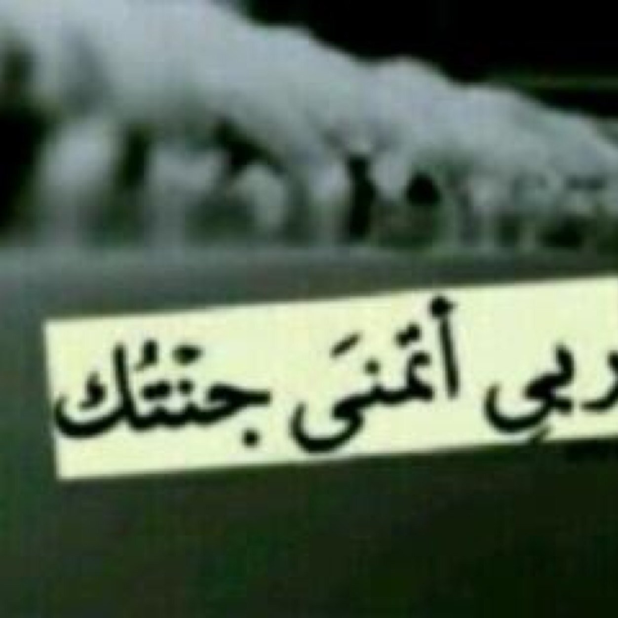 ‏دومـاً إجعل لـ كلماتك وروداً تهبـط على النـاس من حولك ، لها شذاً طيبـاً يسعـدهم ، ولا تجعل لها أشواكـاً تؤلمهمًً!!