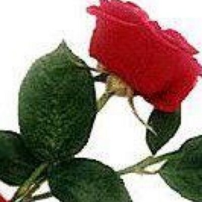 abo_waleed2013's profile image