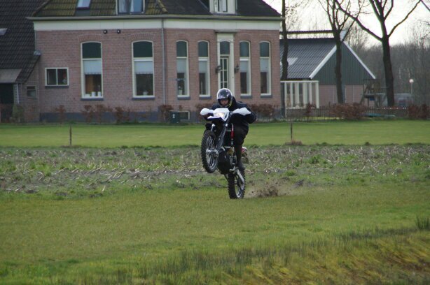 ik bun en blief een echte wieker