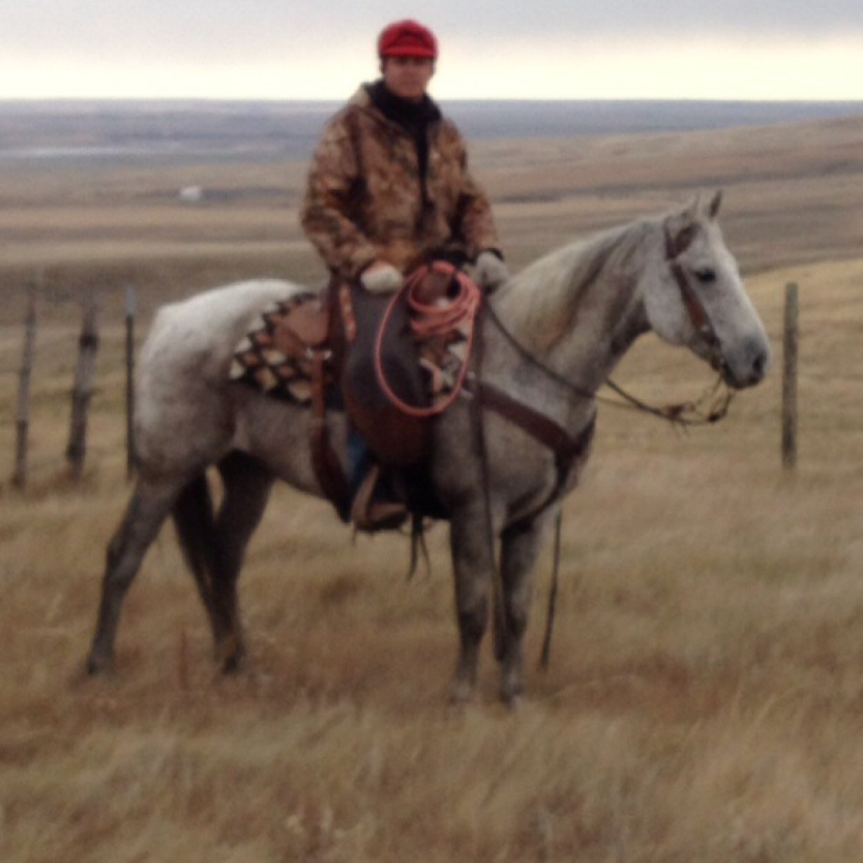 tj_winquist's profile picture. 