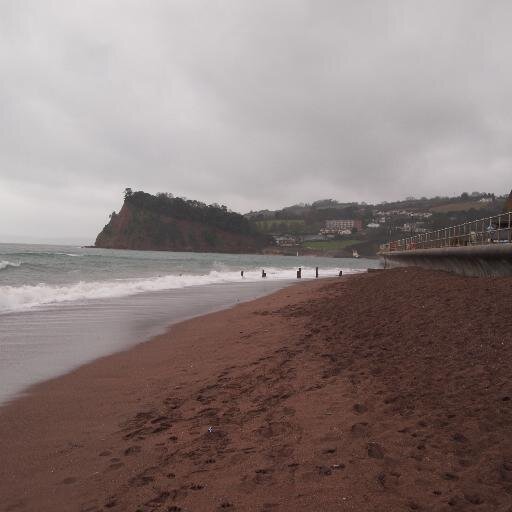 Teignrock's profile picture. 