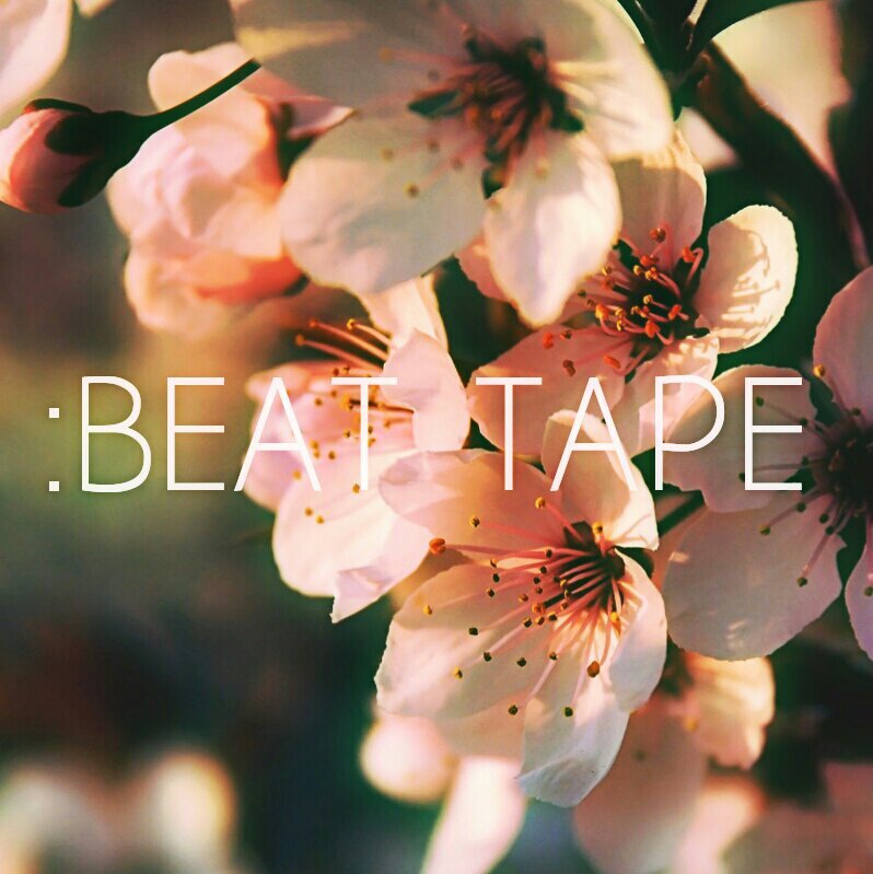 beattapedotcom's profile picture. Upcoming Collective // Label