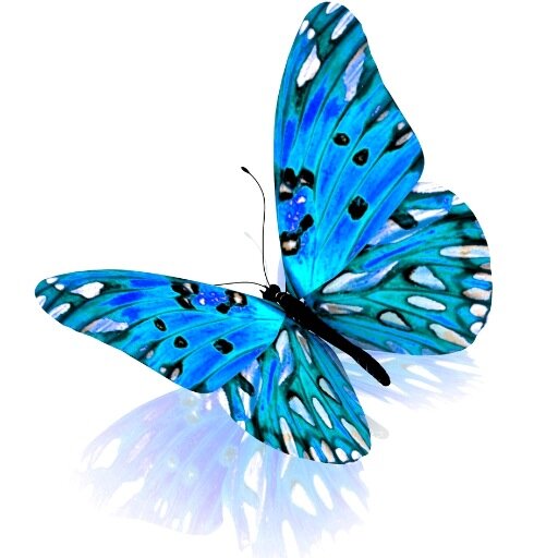 TRANSFORM YOUR LIFE. #Personal #Development #Healing.Discover & heal your inner world.#MINDFULNESS  #QUOTES.Facebook 
https://t.co/tjpOVAzhhX