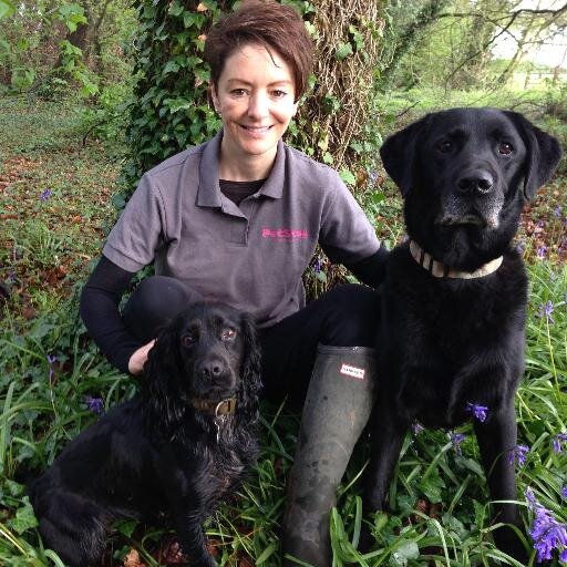 Licenced, insured, professional and caring home from home alternative to kennels.