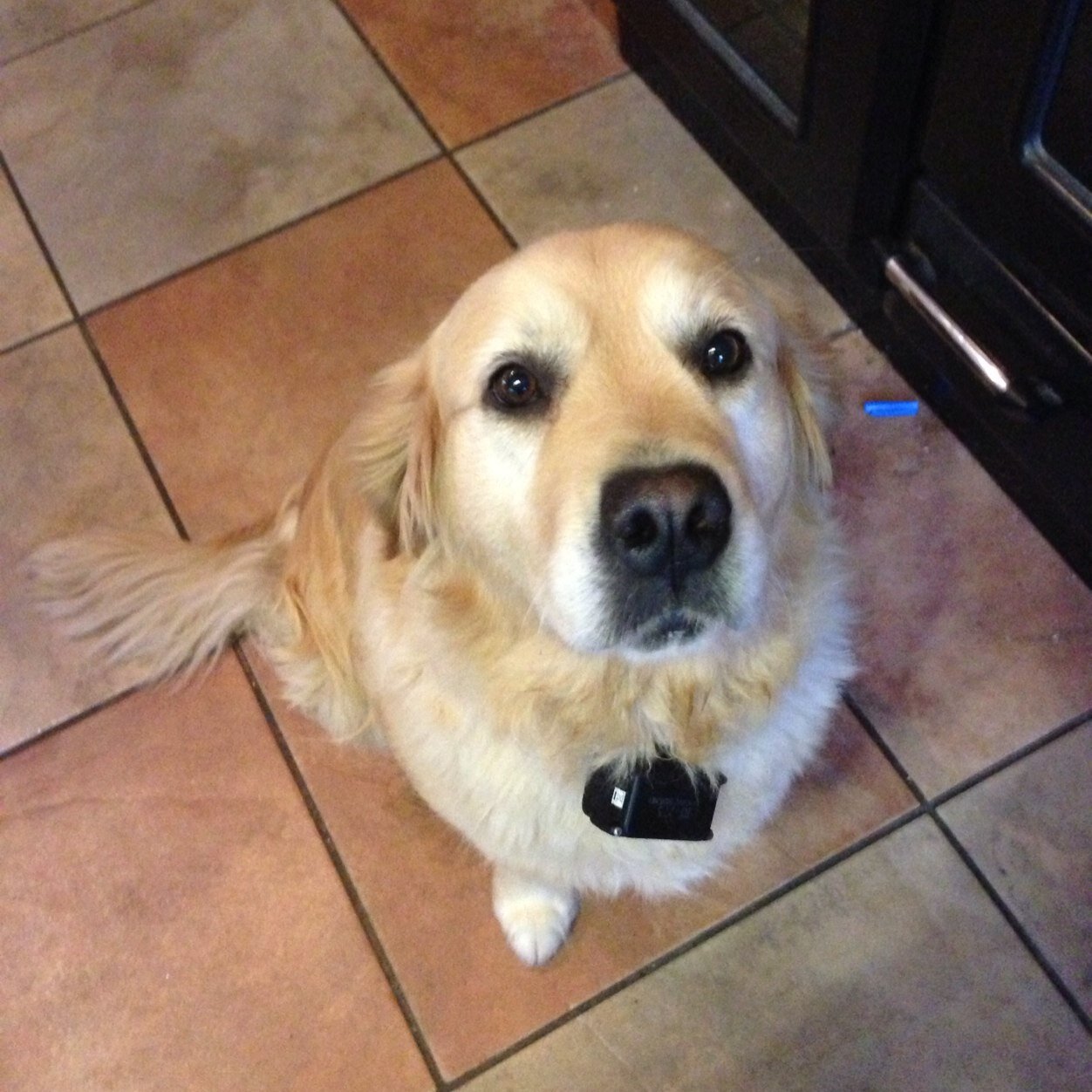 FionaMtt1966's profile picture. 