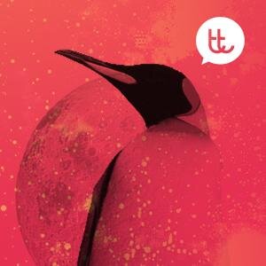 valentt_in's profile picture. Trabajo en la única agencia de internet que tiene en plantilla a un pingüino: @ttandem_com 
Social Media Penguin. Hoy todos somos pingüinos interconectados