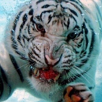 monalith78's profile picture. 