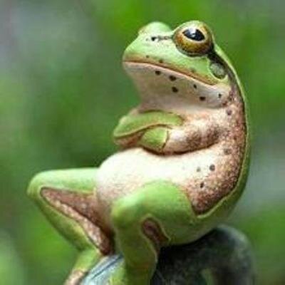 将来の夢は 【 截金を生業にして、ドイツで暮らし、ちょくちょくタイに遊びに行く生活を手に入れる事 】