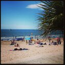 Jane Allingham - @allingham_jane - Twitter