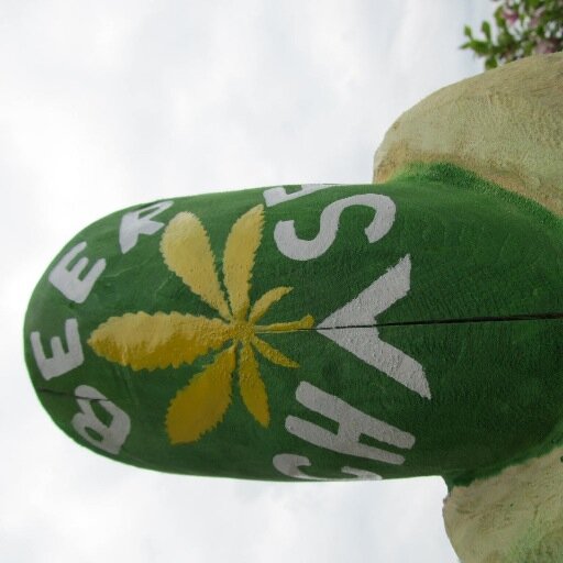 beerchase's profile picture. 