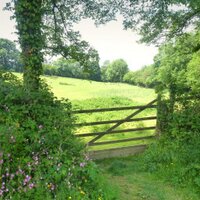 West Devon Social (@westdevonsocial) 's Twitter Profile