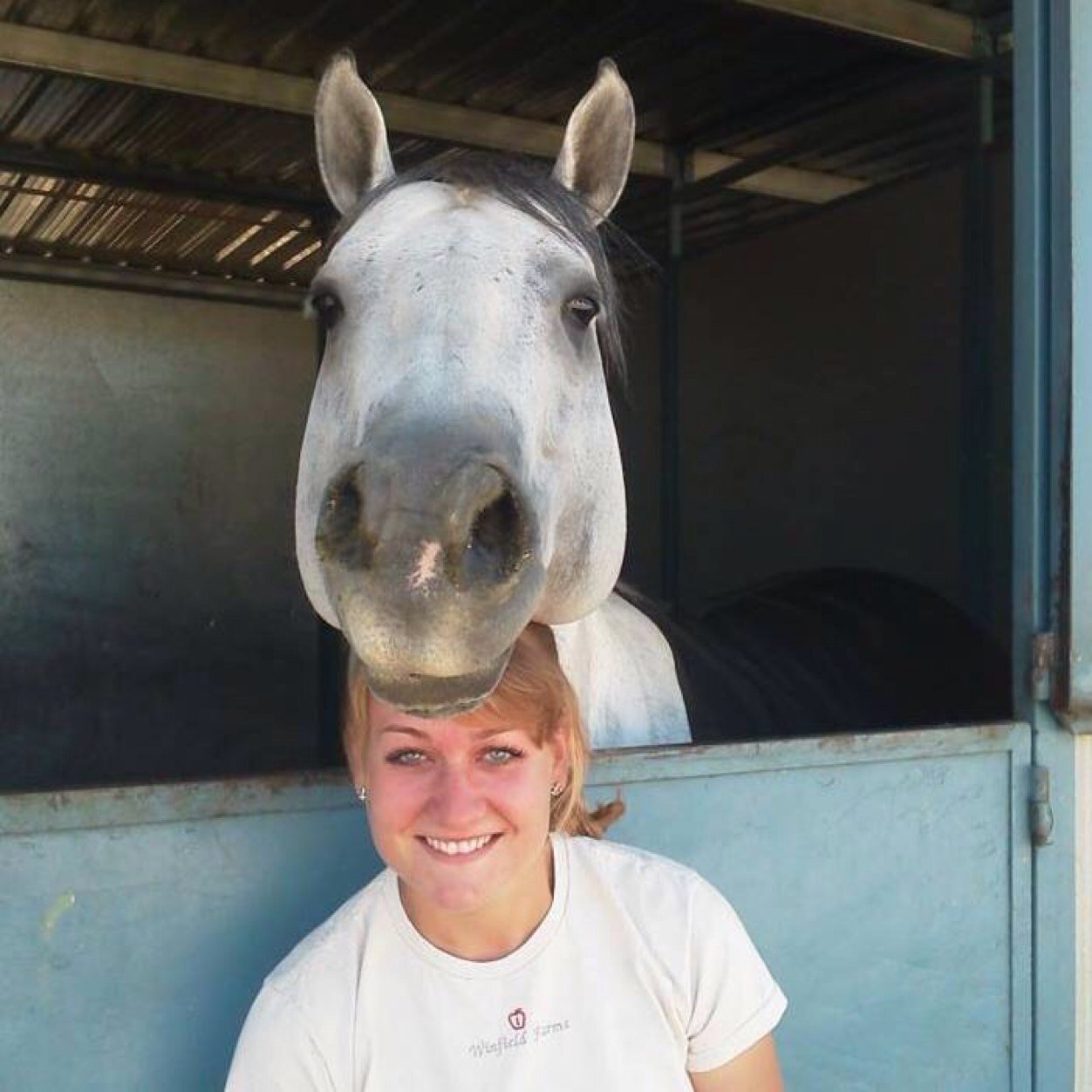 corgilover8's profile picture. The destination is the journey