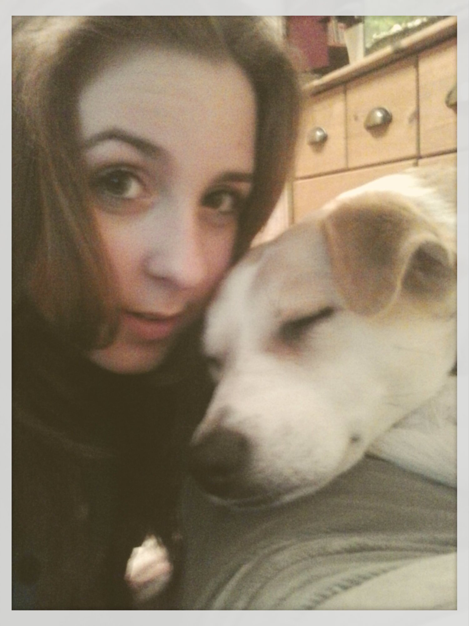 I'm 13 I'm Polish Directioner . I love my dog - Buba . I love Room94 and Little Mix .