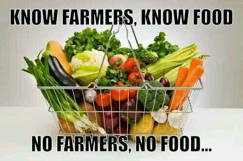 Jack-of-all-trades livestock nutritionist, specializing in made-for-farmers solutions to nutritional problems.