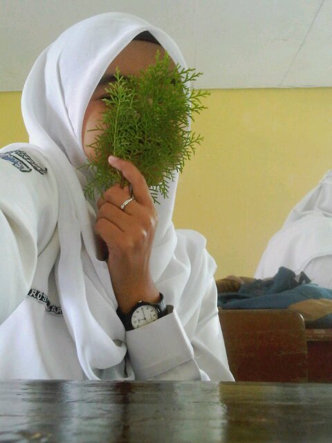 Tasikmalaya ☺☺..(21 juni 1997) SMA N 1 Cikatomas pin:227DEB5C ipa. 2 ♥Vinci_Niardha♥☀☆ @sevinnohryda
