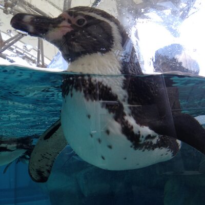 もっしー Sassan7362 根津ゆかりさんはショップチャンネルで今や 一番の古株キャストで大ベテランな方です ショップの事なら何でも聞いて 歴10年でそこそこ知識有るっす Twitter もっしー Sassan7362 根津ゆかりさんはショップチャンネルで今や 一番の古株キャストで大ベテランな方です ショップの事なら何でも聞いて 歴10年でそこそこ知識有るっす Twitter