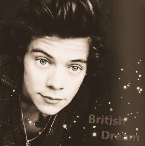 Harry Styles Fanfiction