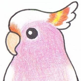 インコとオウムが大好き🦜💗 『ぽぷら工房』としてインコグッズを制作しています♪ イベント告知と、たまーにつぶやきます☆
インコが本物と勘違いして食べようとする粟穂ブローチを絶賛制作中！
⚠️作品の無断複製・販売等はお断りします。