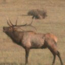 Jerry Schutz - @ShineMrShoe - Twitter