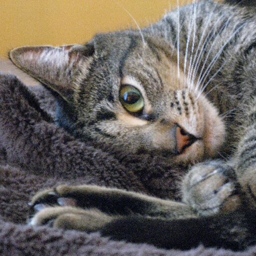 SteveTechcon's profile picture. 