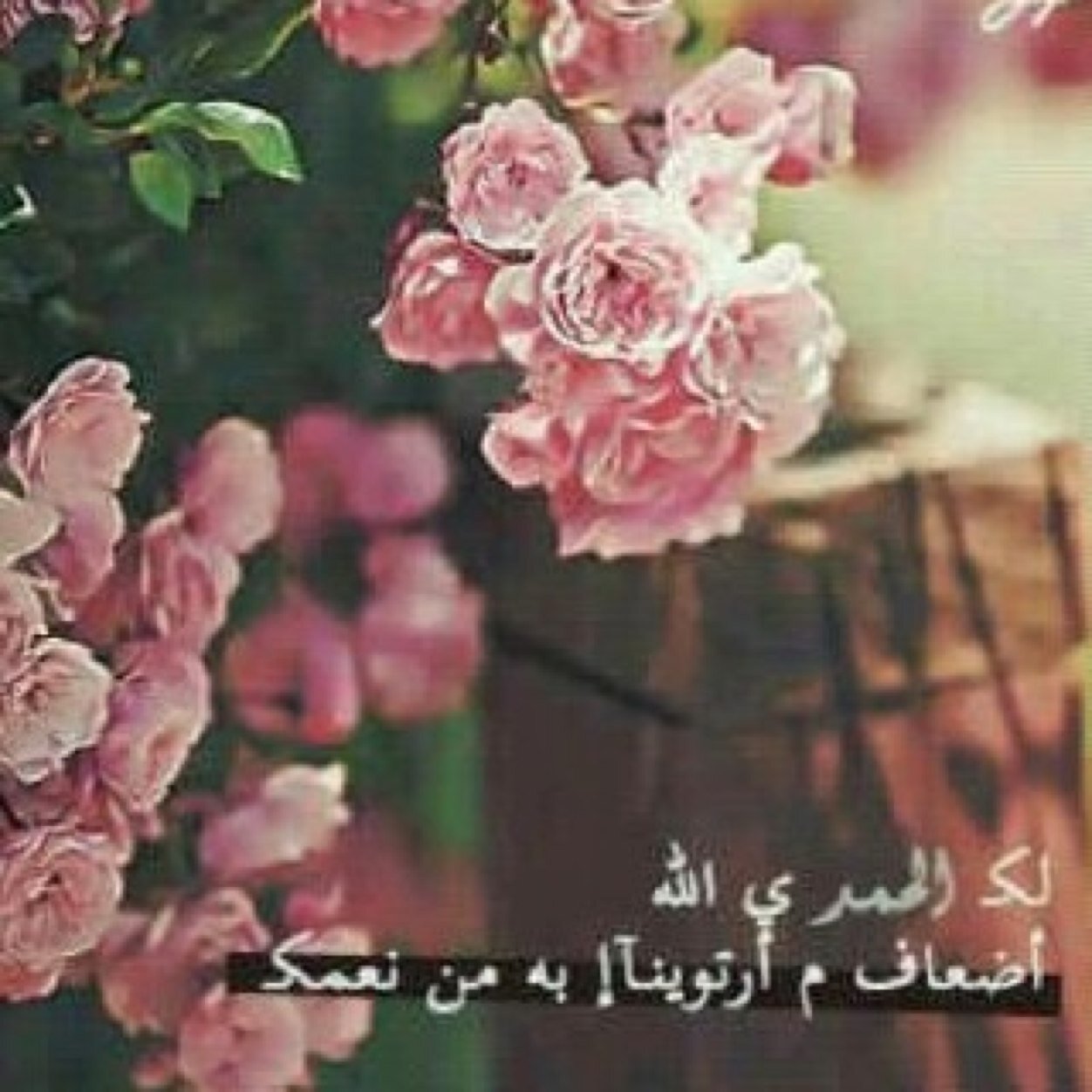 كُنْ فِ الدٌنيآ گأنگ غرييب أو عٰاابر سبييل...